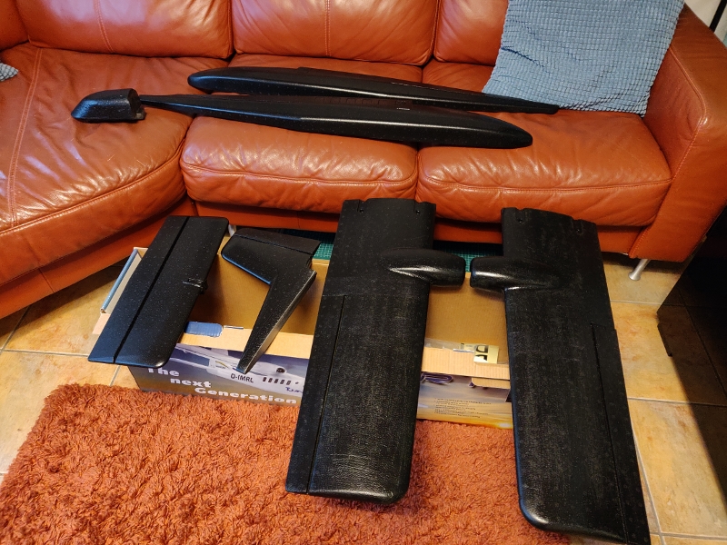 Twinstar_20210128 (800x600)