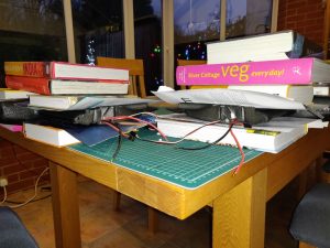 Twinstar_20210202 (3) (800x600)