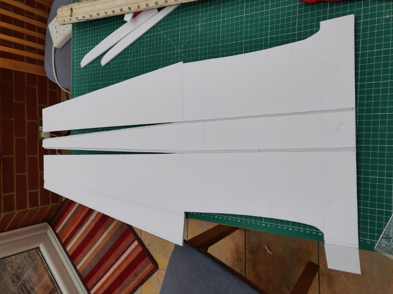 RatRiot4_20210310 (11) (800x600)