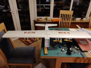 RatRiot4_20210310 (12) (800x600)