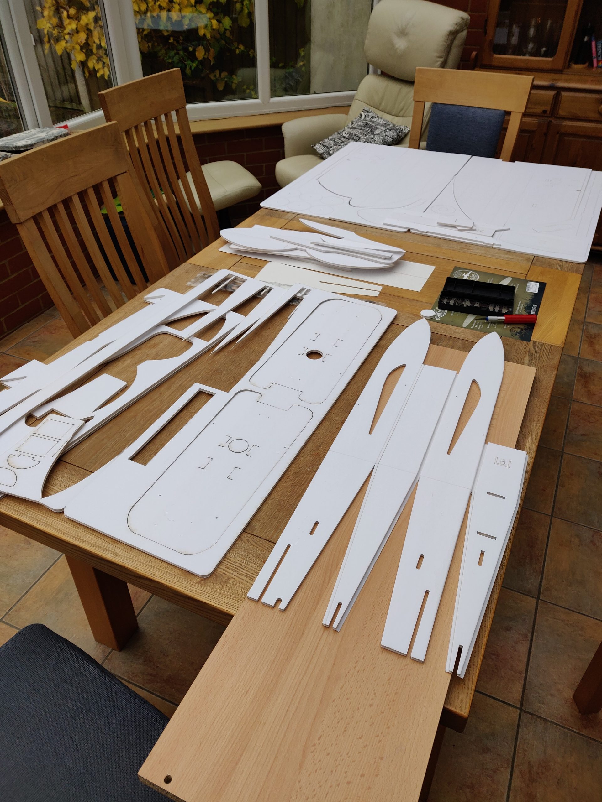 RatCruiser4_20211114